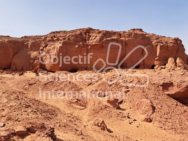 Keywords: Maroc, Taouz, fossiles, Kem Kem, Crétacé
