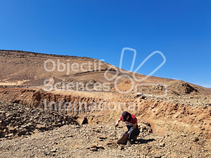 Keywords: Maroc,M&#039;cissi,fossiles,Ordovicien