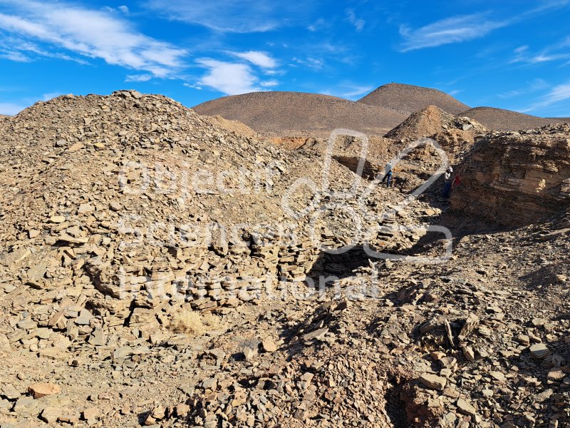 Keywords: Maroc,M&#039;cissi,fossiles,Ordovicien