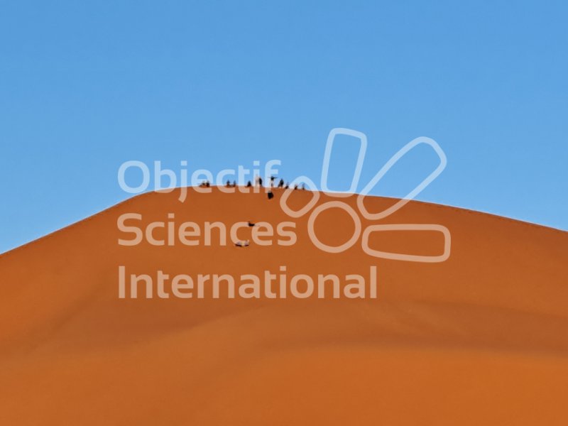 Keywords: Maroc,Merzouga,dunes