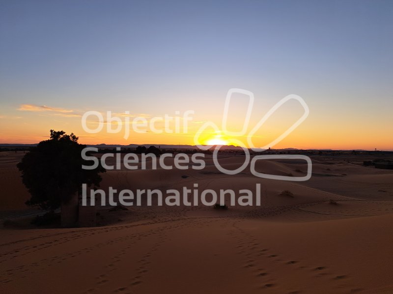 Keywords: Maroc,Merzouga,dunes,coucher de soleil