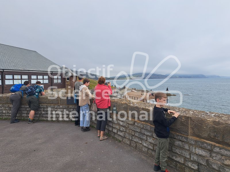 Keywords: Angleterre,Lyme Regis,plage,fossiles