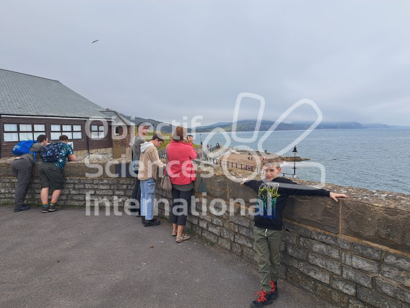 Keywords: Angleterre,Lyme Regis,plage,fossiles