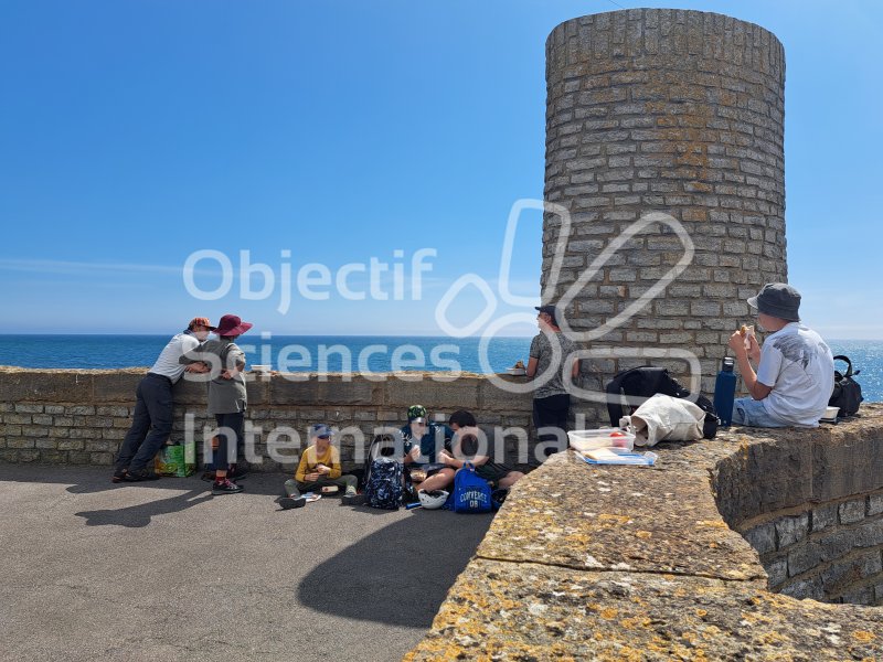 Keywords: Angleterre,Lyme Regis,plage,fossiles