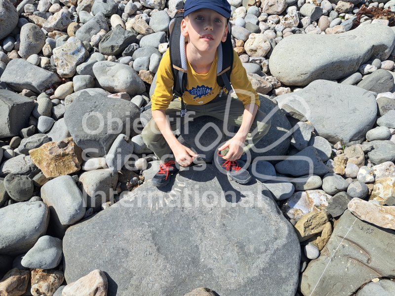 Keywords: Angleterre,Lyme Regis,plage,fossiles