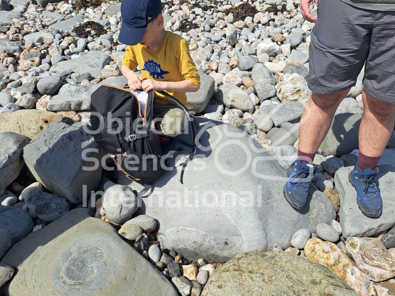 Keywords: Angleterre,Lyme Regis,plage,fossiles