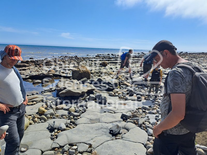 Keywords: Angleterre,Lyme Regis,plage,fossiles