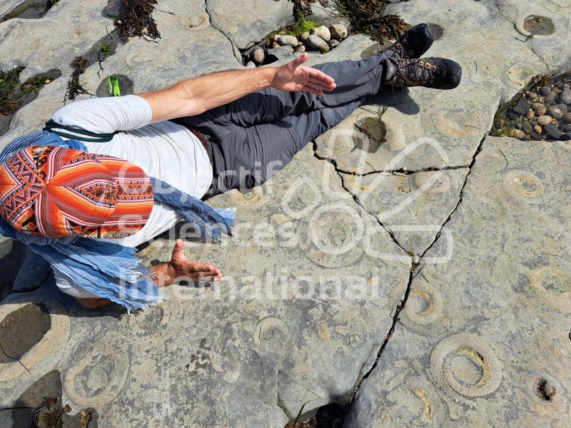 Keywords: Angleterre,Lyme Regis,plage,fossiles