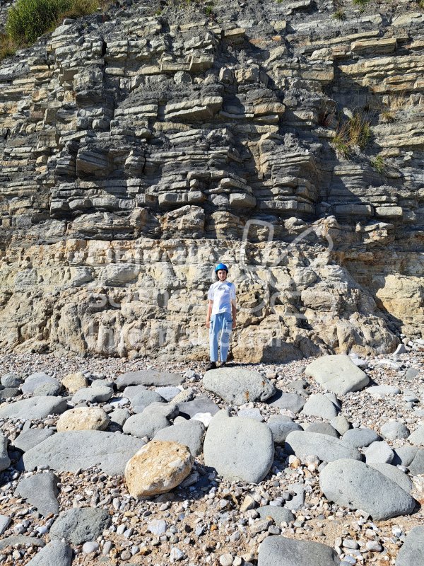 Keywords: Angleterre,Lyme Regis,plage,fossiles