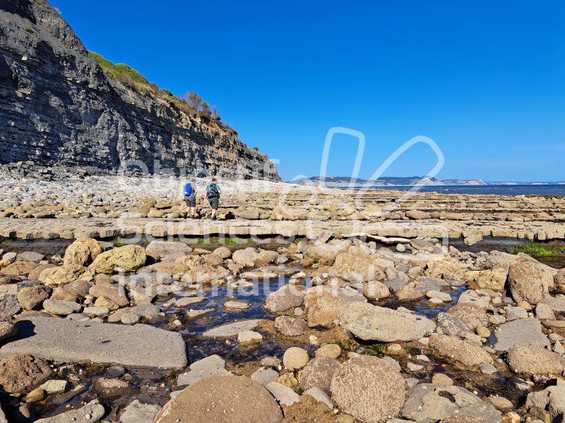 Keywords: Angleterre,Lyme Regis,plage,fossiles