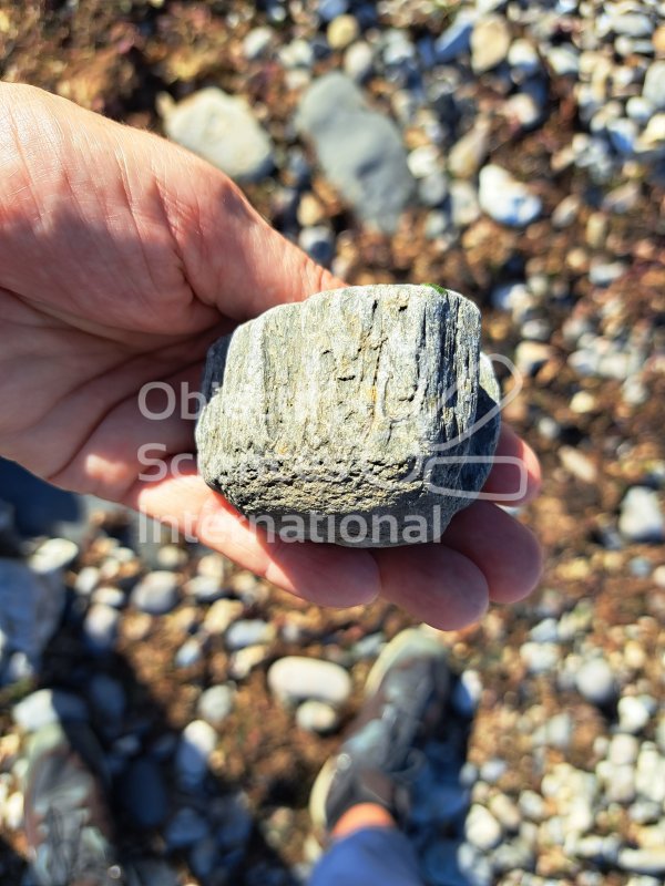 Keywords: Angleterre,Lyme Regis,plage,fossiles