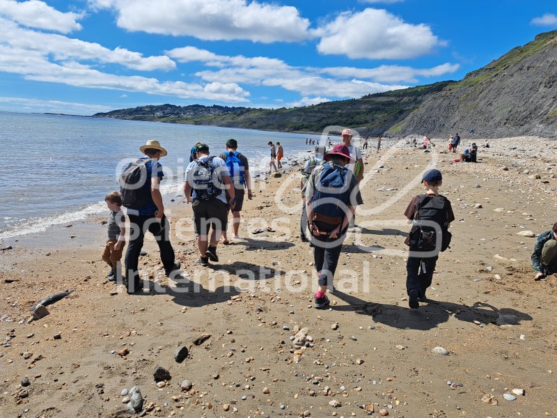 Keywords: Angleterre,Charmouth,plage,fossiles