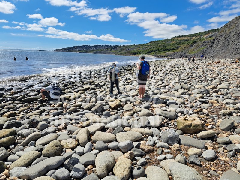 Keywords: Angleterre,Charmouth,plage,fossiles