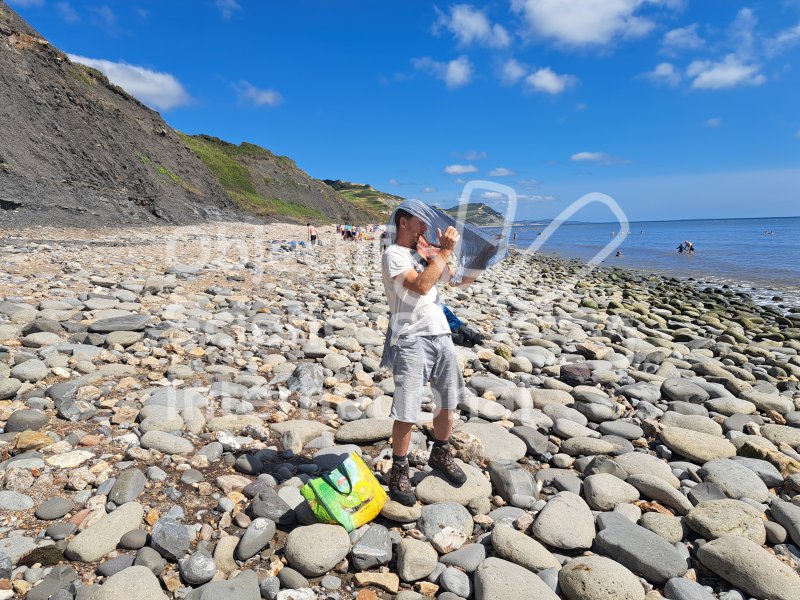 Keywords: Angleterre,Charmouth,plage,fossiles