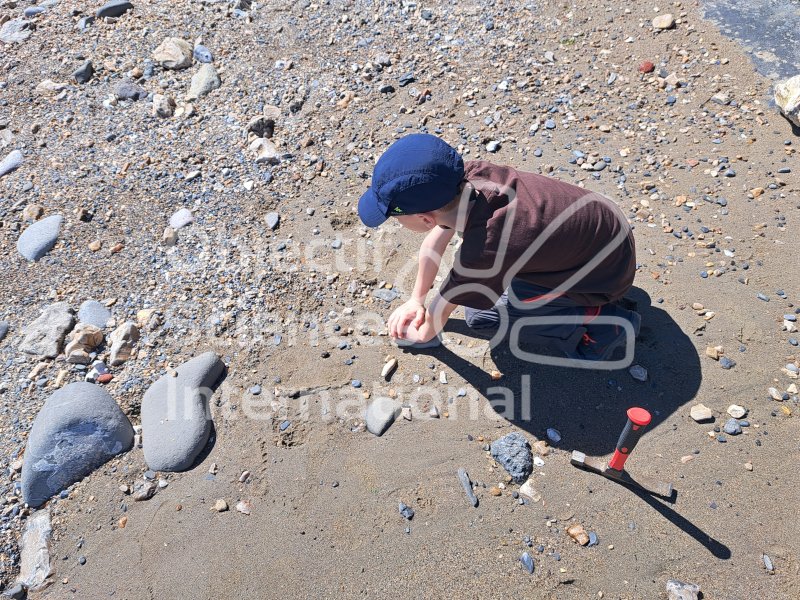 Keywords: Angleterre,Charmouth,plage,fossiles