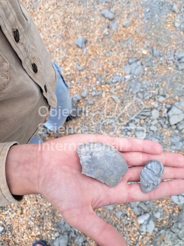 Keywords: Angleterre,Dorset,Eype,plage,fossiles