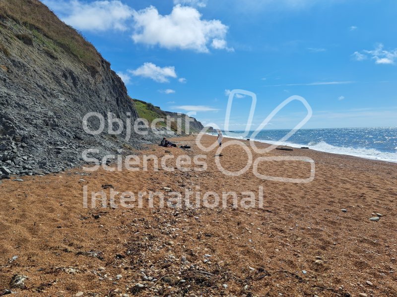 Keywords: Angleterre,Dorset,Eype,plage