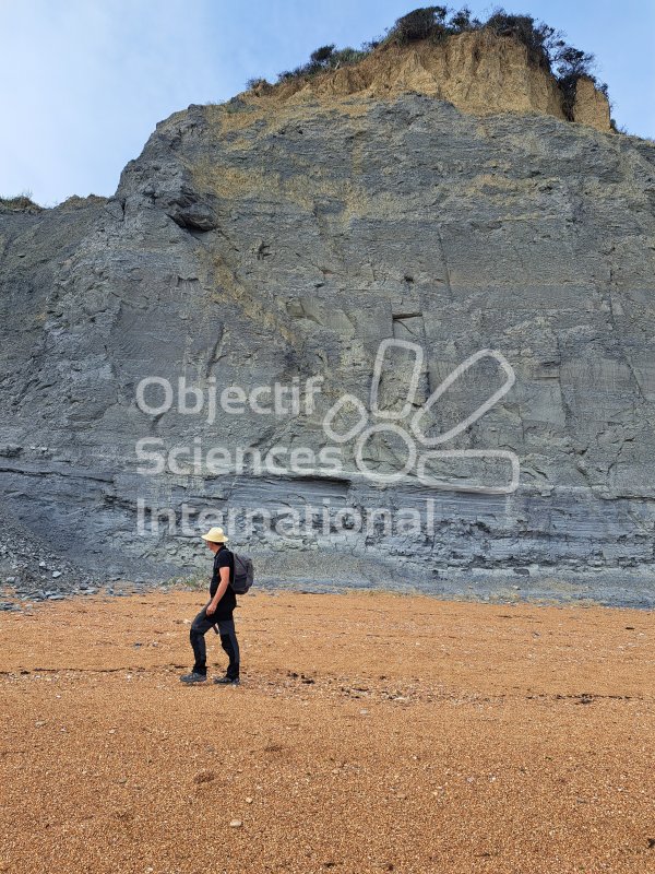 Keywords: Angleterre,Dorset,Seatown,plage,fossiles