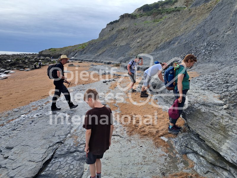 Keywords: Angleterre,Dorset,Seatown,plage,fossiles