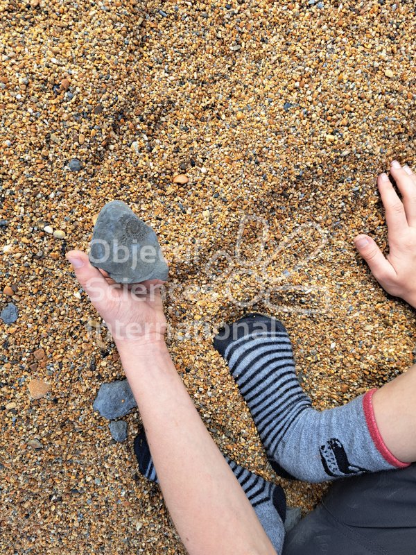 Keywords: Angleterre,Dorset,Seatown,plage,fossiles