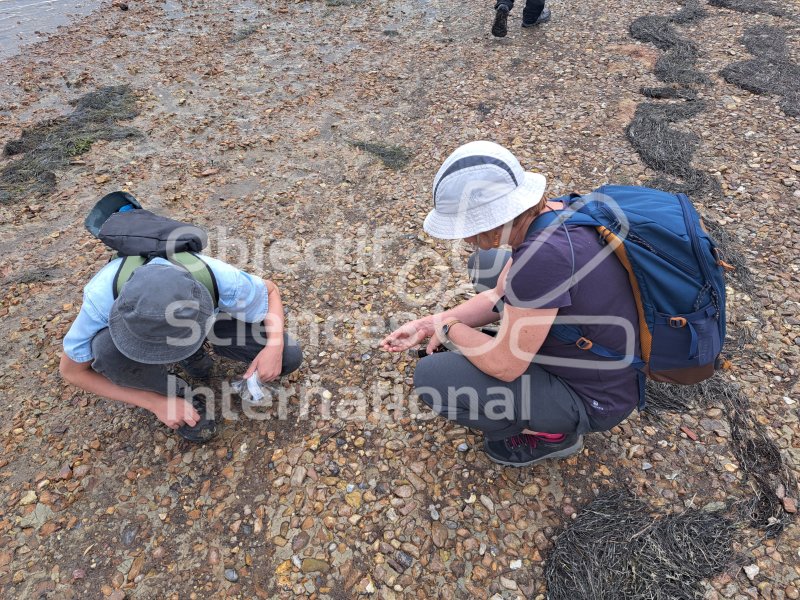 Keywords: Angleterre,Weymouth,plage,fossiles