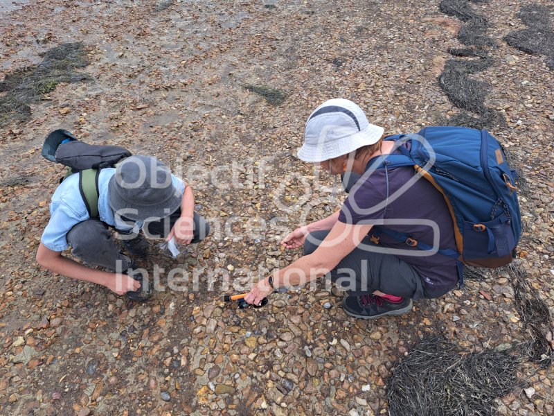 Keywords: Angleterre,Weymouth,plage,fossiles