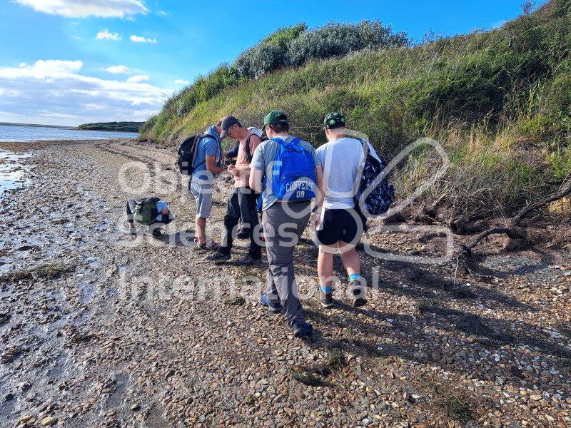 Keywords: Angleterre,Weymouth,plage,fossiles