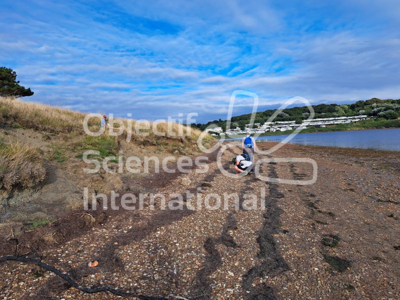 Keywords: Angleterre,Weymouth,plage,fossiles