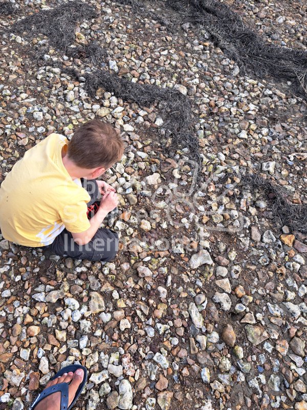 Keywords: Angleterre,Weymouth,plage,fossiles