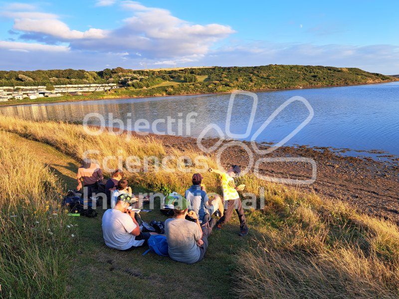 Keywords: Angleterre,Weymouth,plage,fossiles