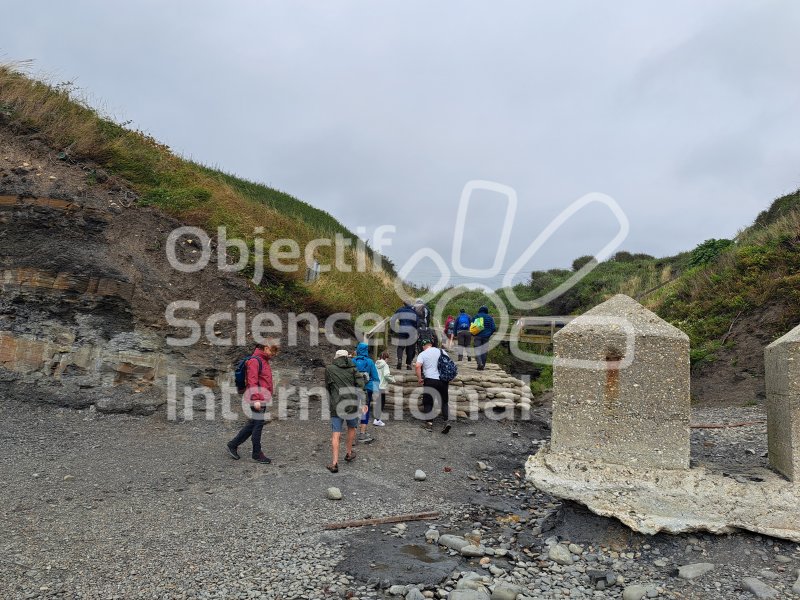 Keywords: Angleterre,Kimmeridge Bay,plage,fossiles