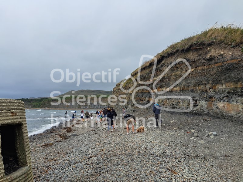 Keywords: Angleterre,Kimmeridge Bay,plage,fossiles