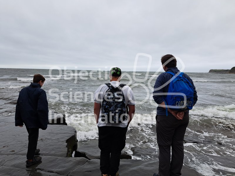 Keywords: Angleterre,Kimmeridge Bay,plage,fossiles