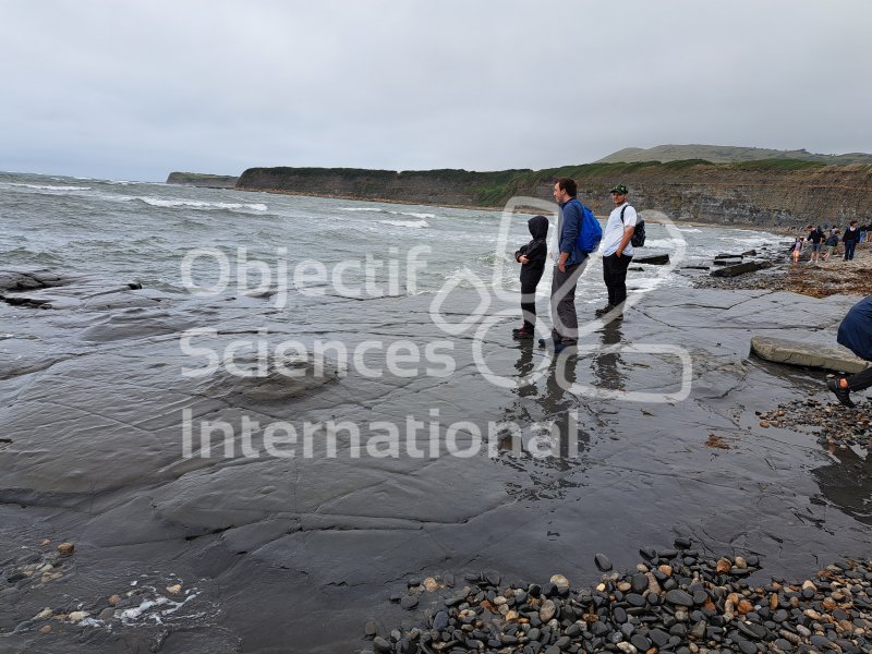 Keywords: Angleterre,Kimmeridge Bay,plage,fossiles