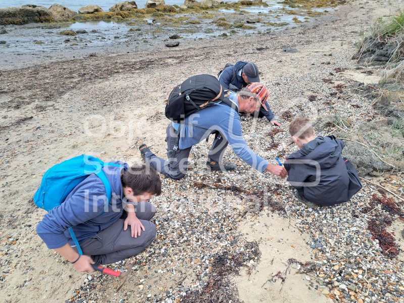 Keywords: Angleterre,Weymouth,plage,fossiles