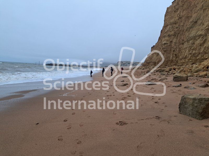 Keywords: Angleterre,West Bay,plage