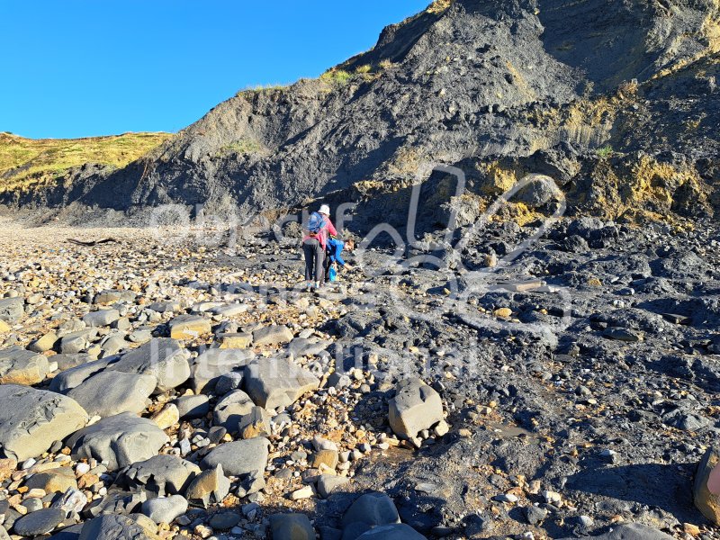 Keywords: Angleterre,Charmouth,plage,fossile