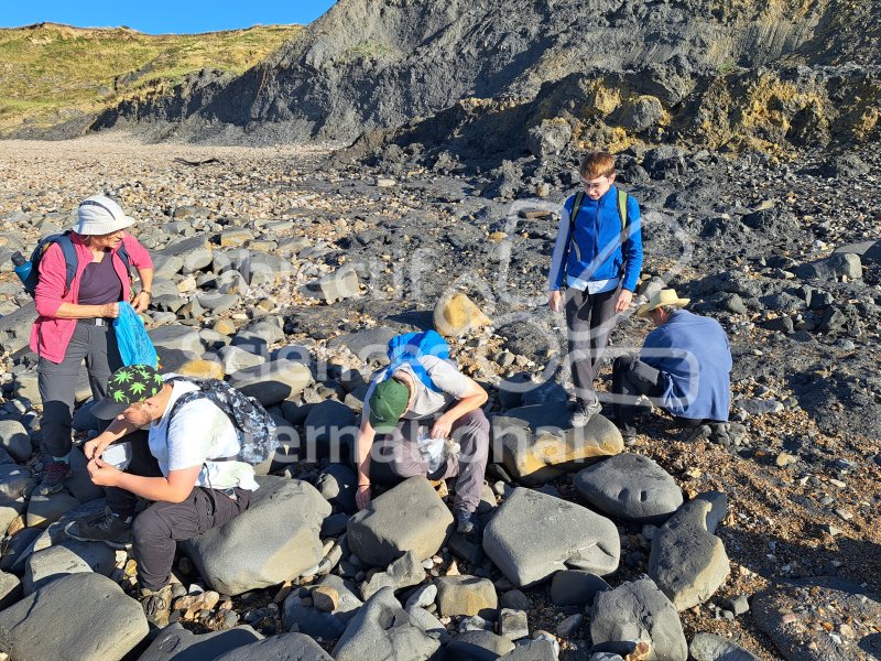 Keywords: Angleterre,Charmouth,plage,fossile