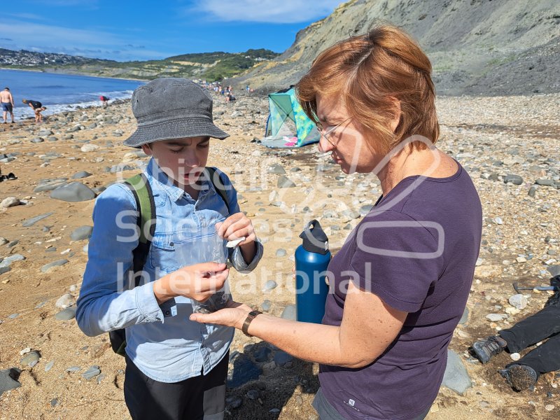 Keywords: Angleterre,Charmouth,plage,fossile