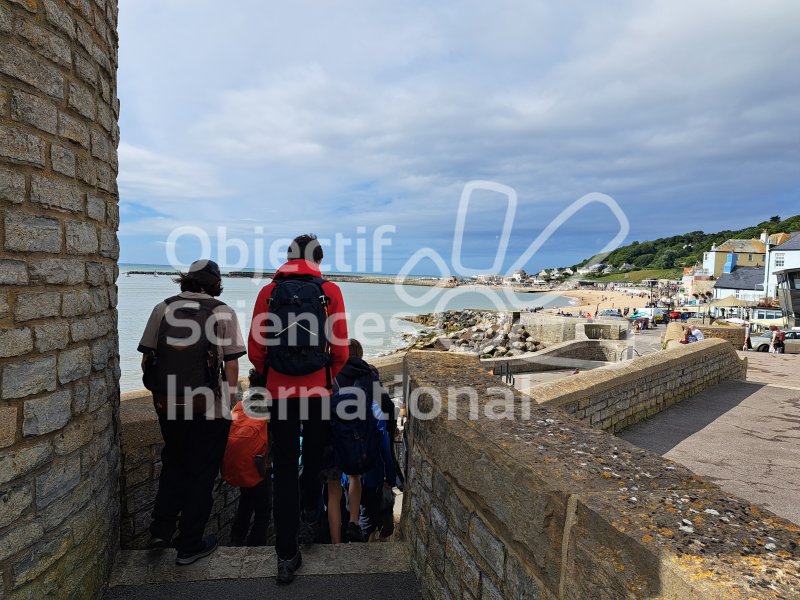 Keywords: Angleterre,Dorset,Lyme Regis,plage