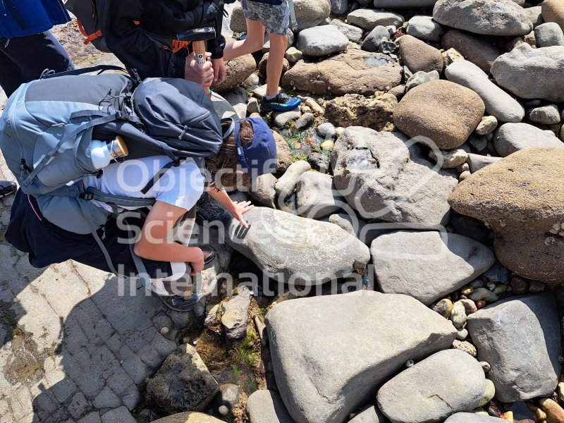 Keywords: Angleterre,Dorset,Lyme Regis,fossiles