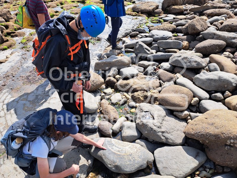 Keywords: Angleterre,Dorset,Lyme Regis,fossiles