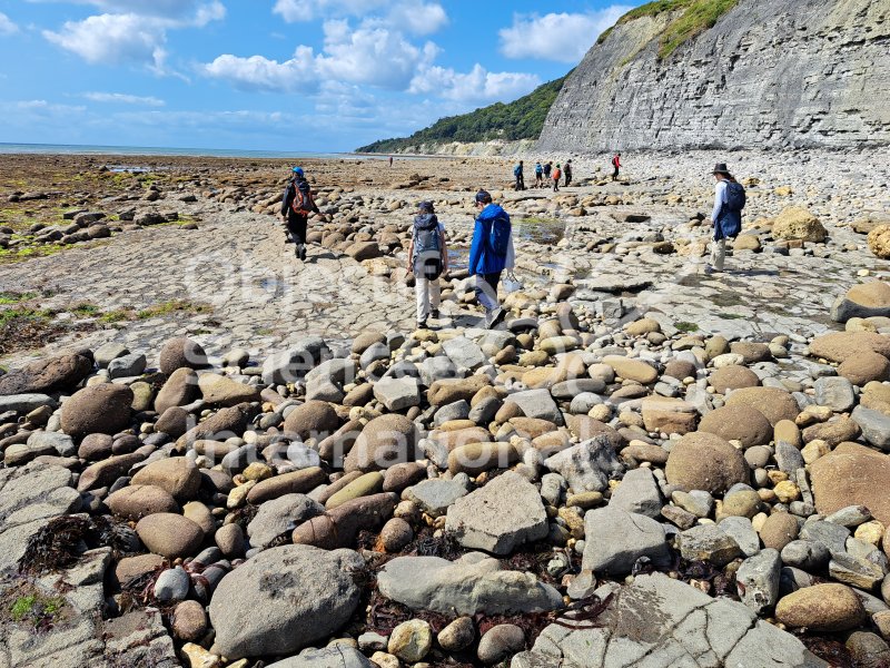 Keywords: Angleterre,Dorset,Lyme Regis,plage