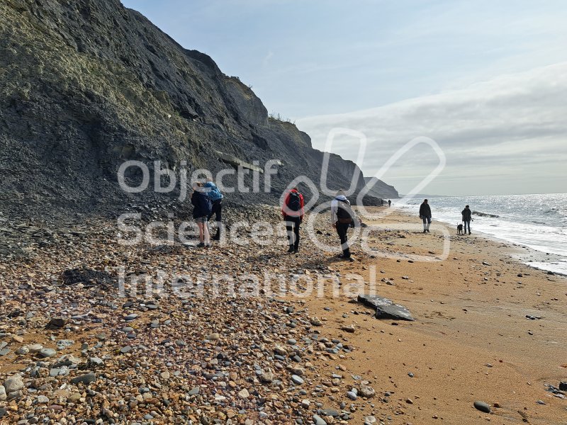 Keywords: Angleterre,Dorset,Charmouth,plage