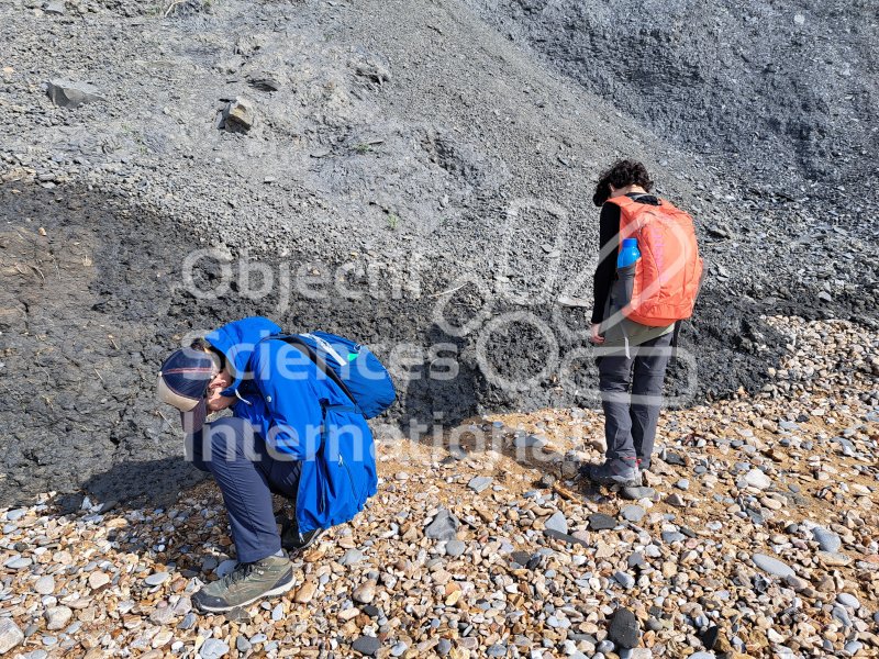 Keywords: Angleterre,Dorset,Charmouth,plage