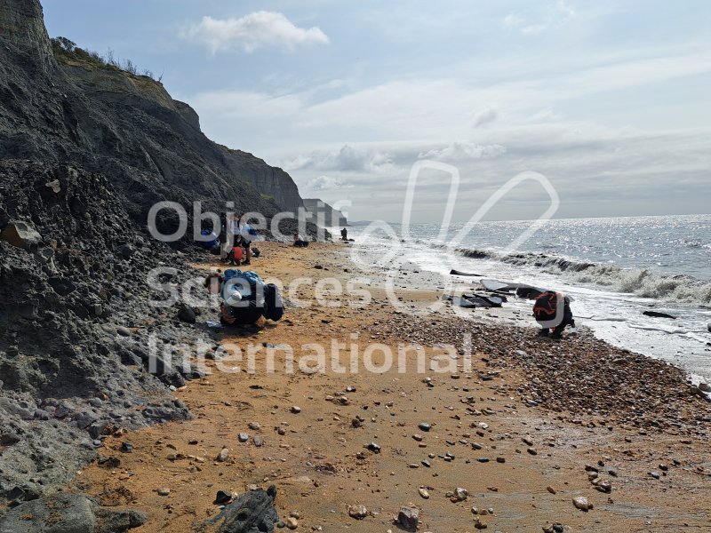 Keywords: Angleterre,Dorset,Charmouth,plage