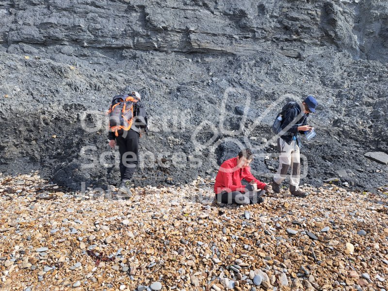 Keywords: Angleterre,Dorset,Charmouth,plage