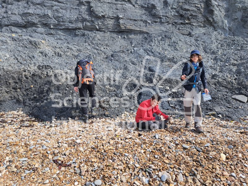 Keywords: Angleterre,Dorset,Charmouth,plage