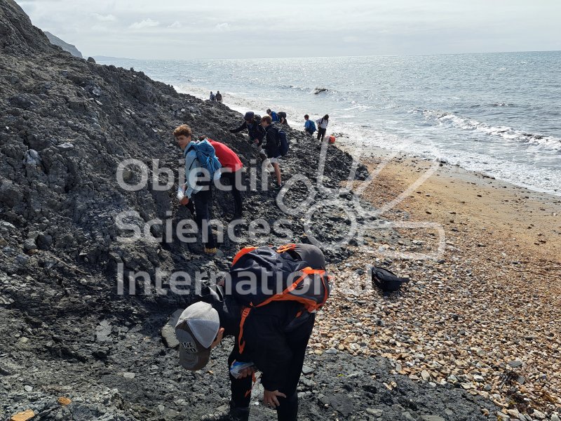 Keywords: Angleterre,Dorset,Charmouth,plage