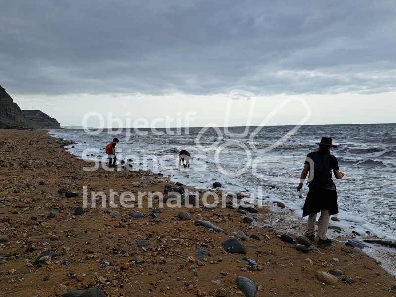 Keywords: Angleterre,Dorset,Charmouth,plage